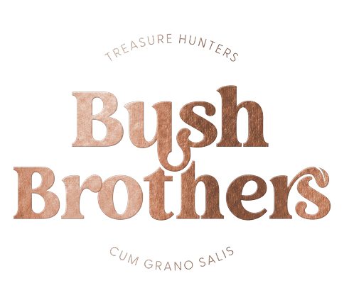 BushBrothers